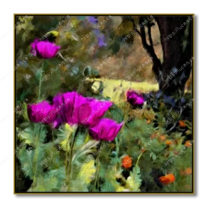 Tableau de fleurs de pavots magenta ou violettes en gros plan dans un jardin, format 24"x24"- 61cm x 61cm, datée de 2024